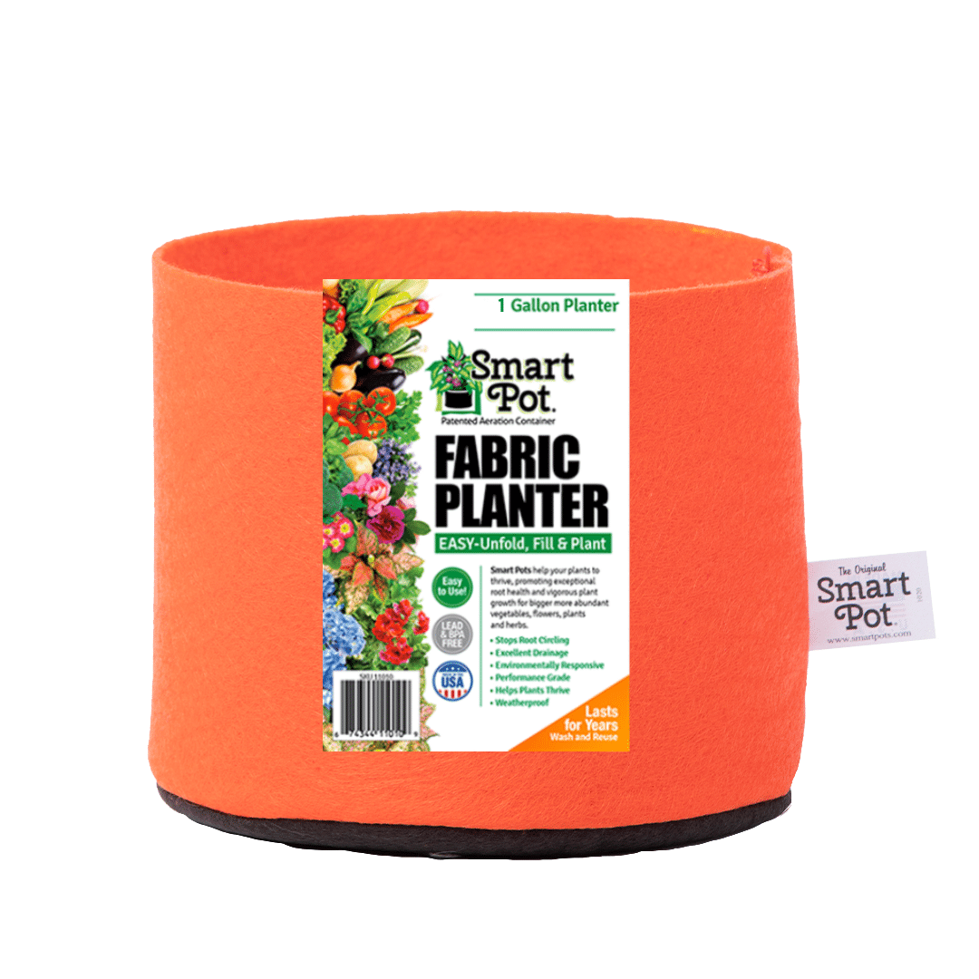 Smart Pot Fabric Grow Bag – Breathable Root-Pruning Planter
