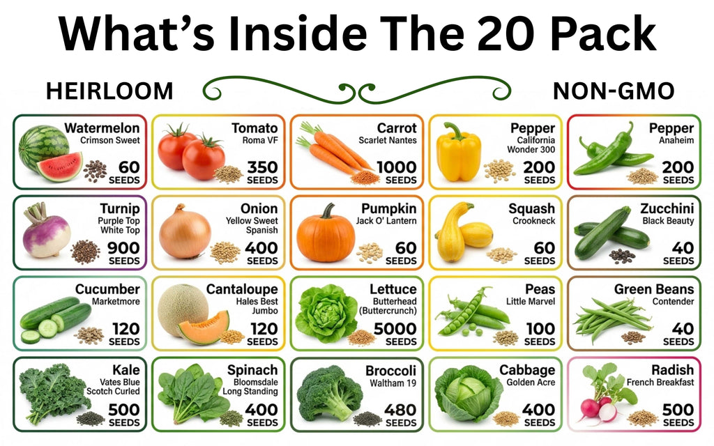 Heirloom Vegetable & Herb Seed Vault – 20 to 50 Varieties