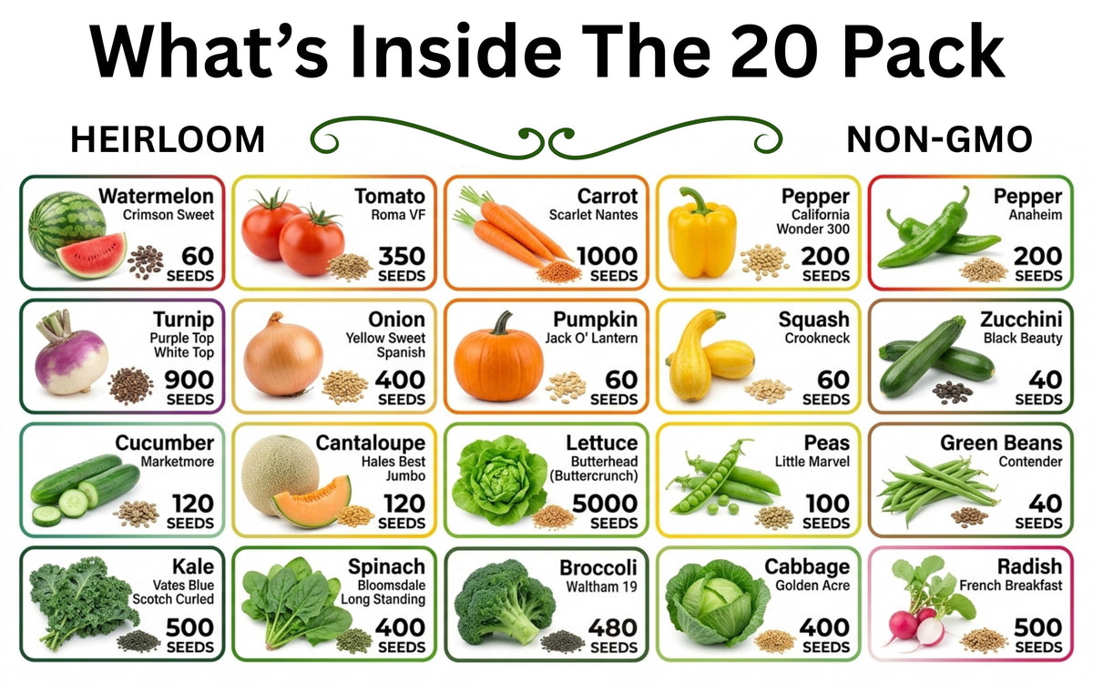 Heirloom Vegetable & Herb Seed Vault – 20 to 50 Varieties