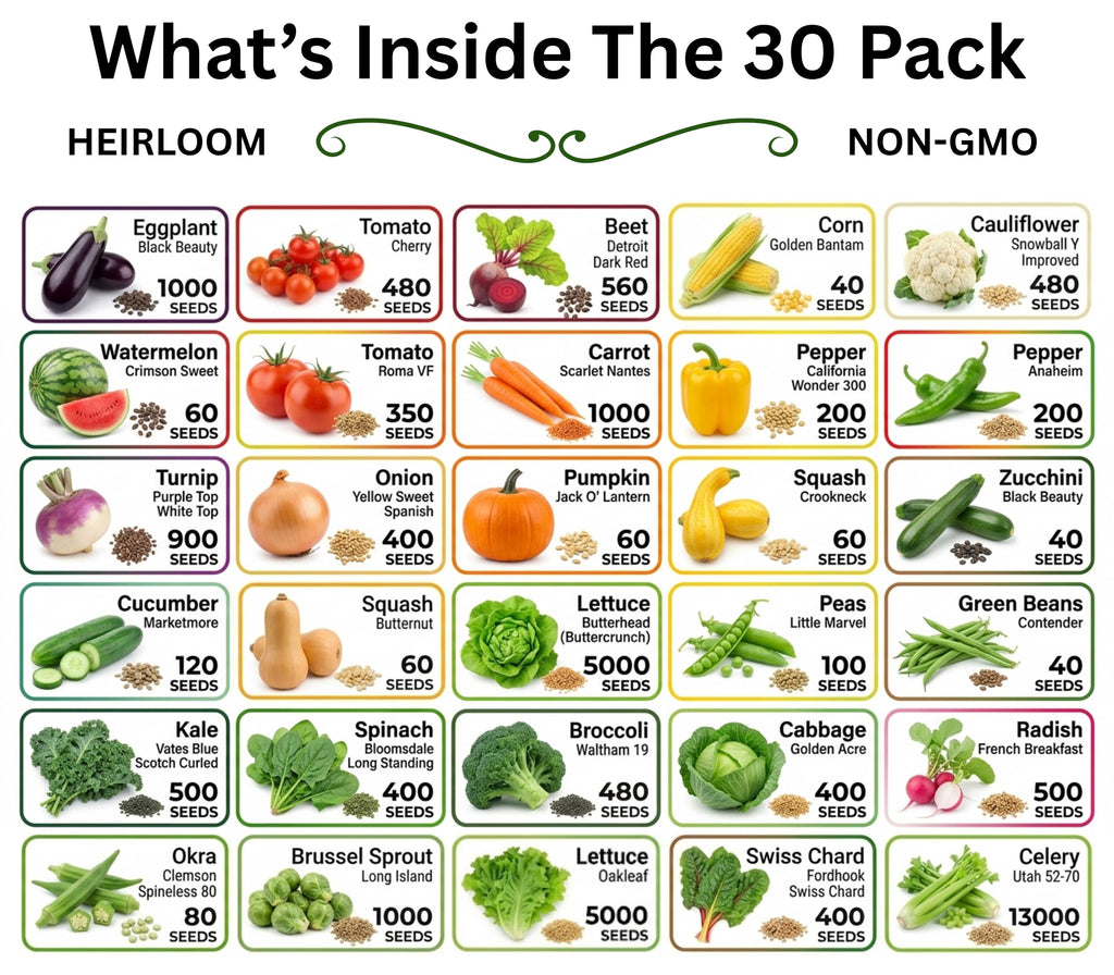 Heirloom Vegetable & Herb Seed Vault – 20 to 50 Varieties