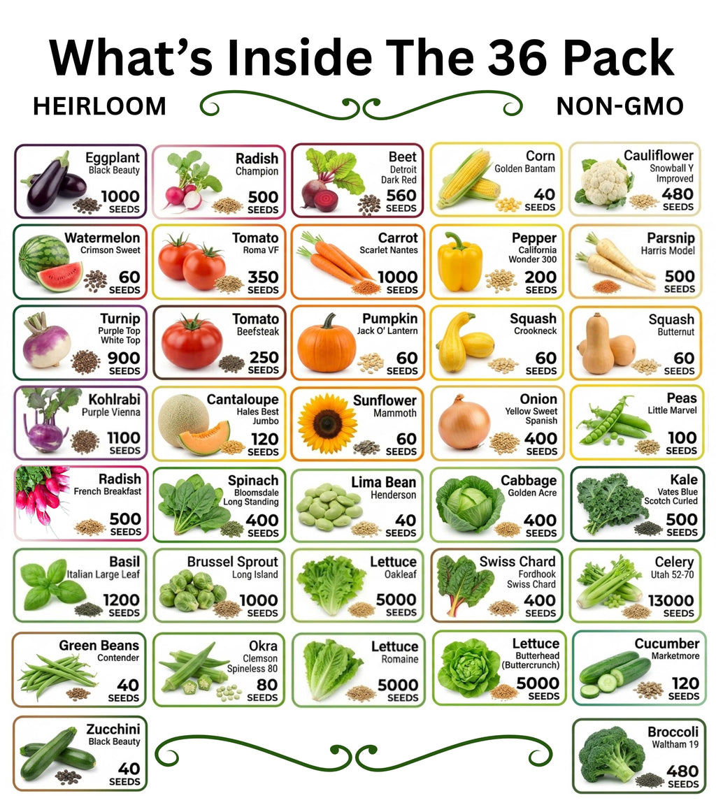 Heirloom Vegetable & Herb Seed Vault – 20 to 50 Varieties