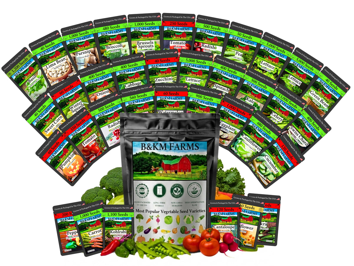 Heirloom Vegetable & Herb Seed Vault – 20 to 50 Varieties