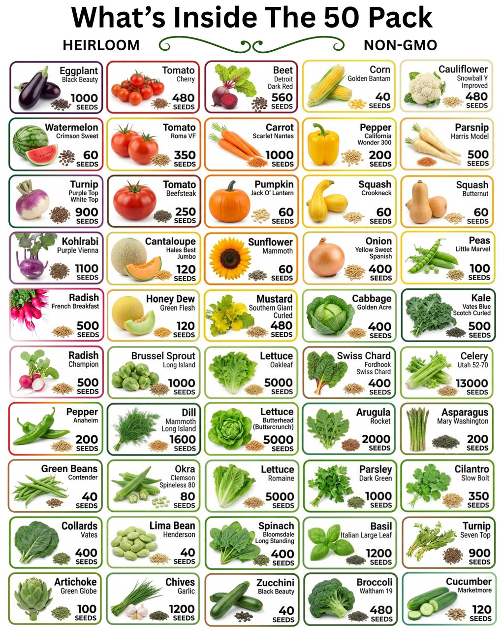 Heirloom Vegetable & Herb Seed Vault – 20 to 50 Varieties
