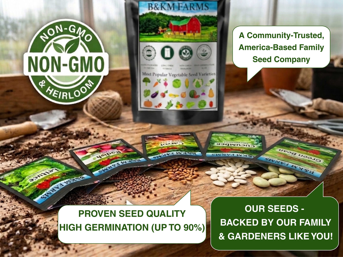 Heirloom Vegetable & Herb Seed Vault – 20 to 50 Varieties