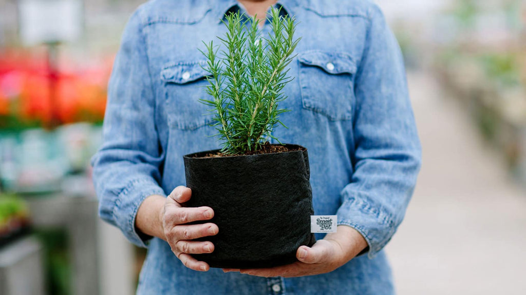 Smart Pot Fabric Grow Bag – Breathable Root-Pruning Planter