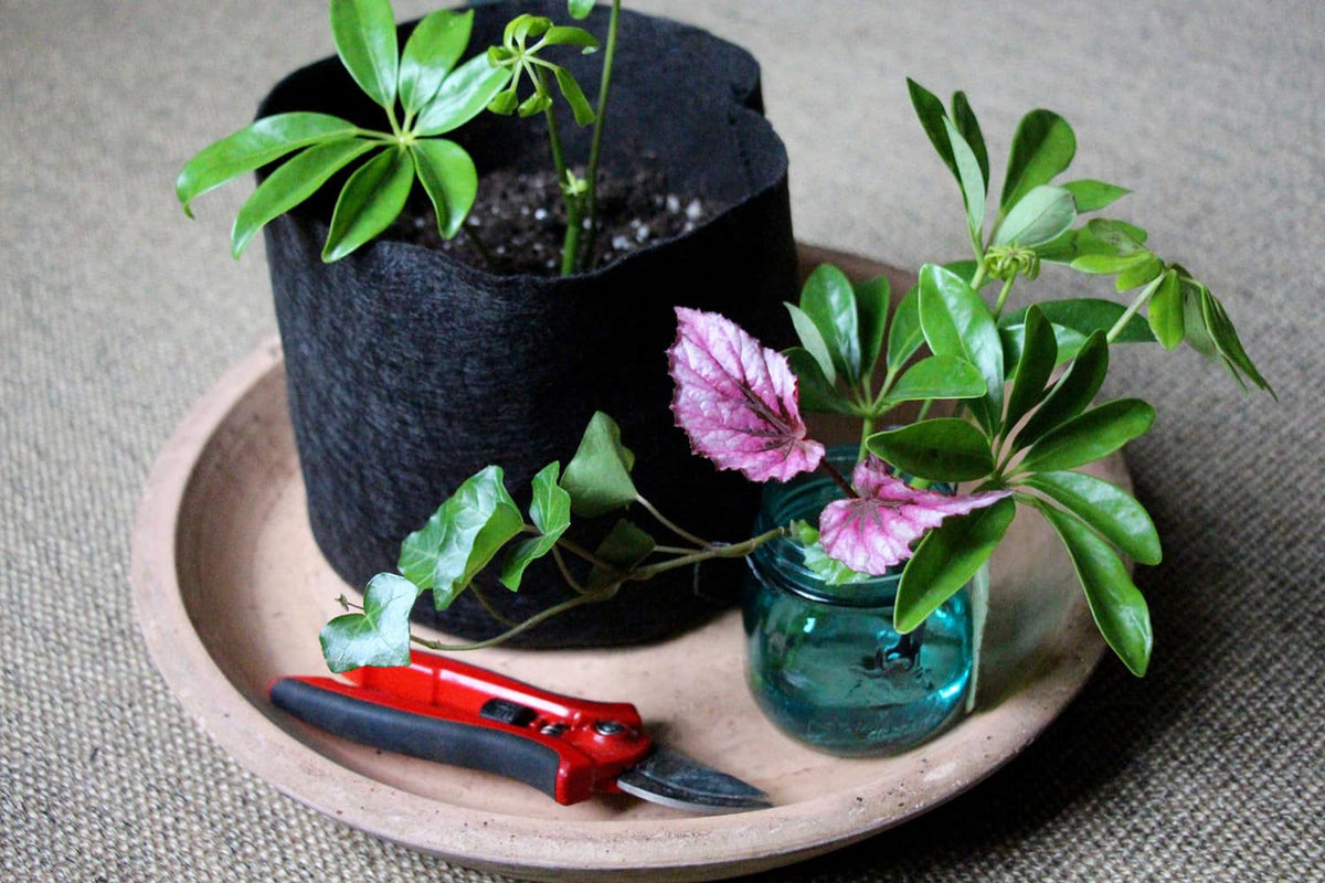 Smart Pot Fabric Grow Bag – Breathable Root-Pruning Planter