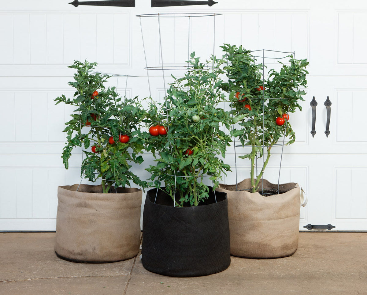 Smart Pot Fabric Grow Bag – Breathable Root-Pruning Planter
