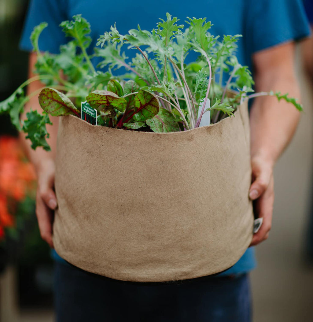 Smart Pot Fabric Grow Bag – Breathable Root-Pruning Planter