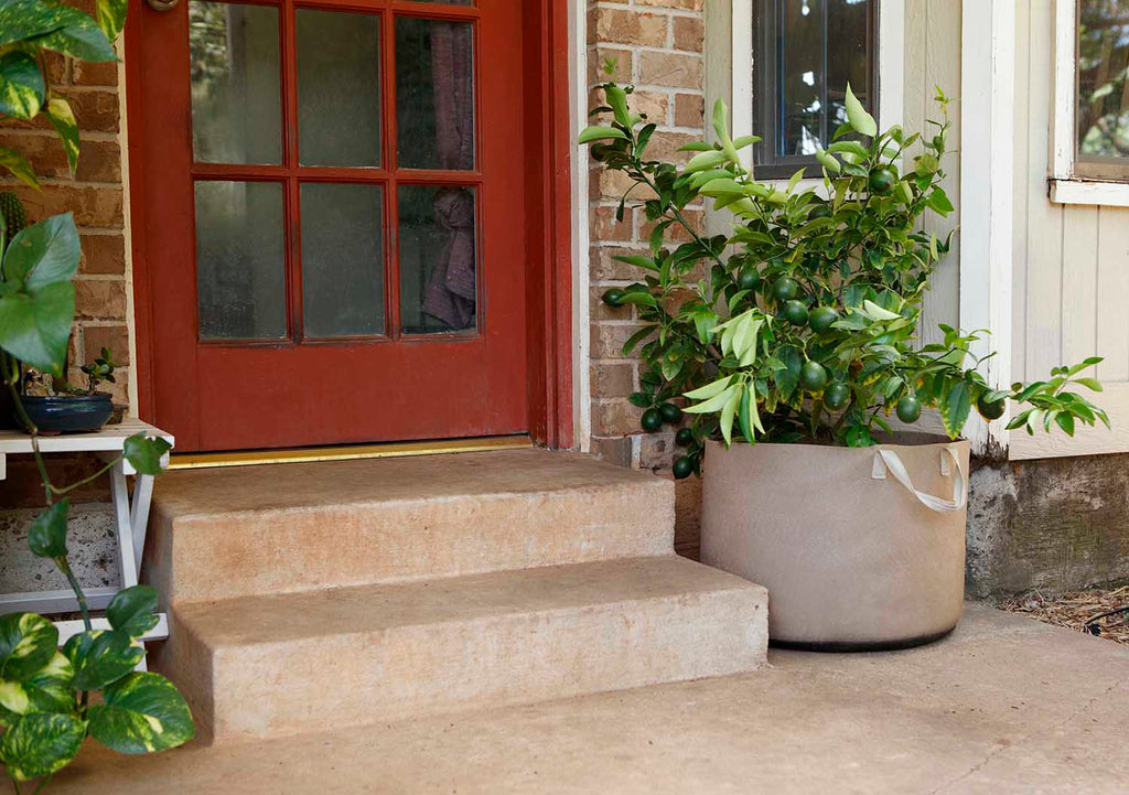 Smart Pot Fabric Grow Bag – Breathable Root-Pruning Planter