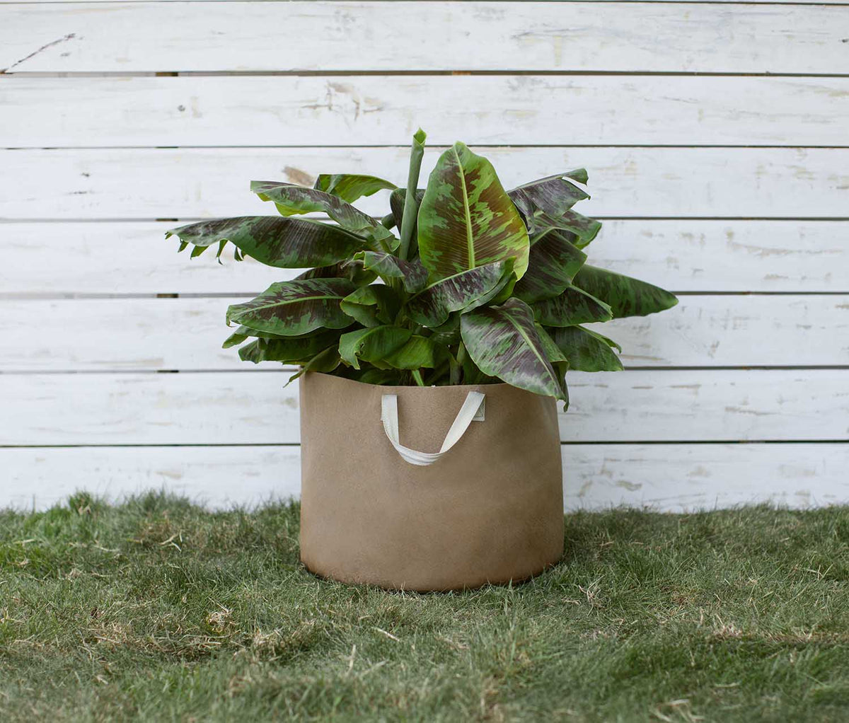 Smart Pot Fabric Grow Bag – Breathable Root-Pruning Planter