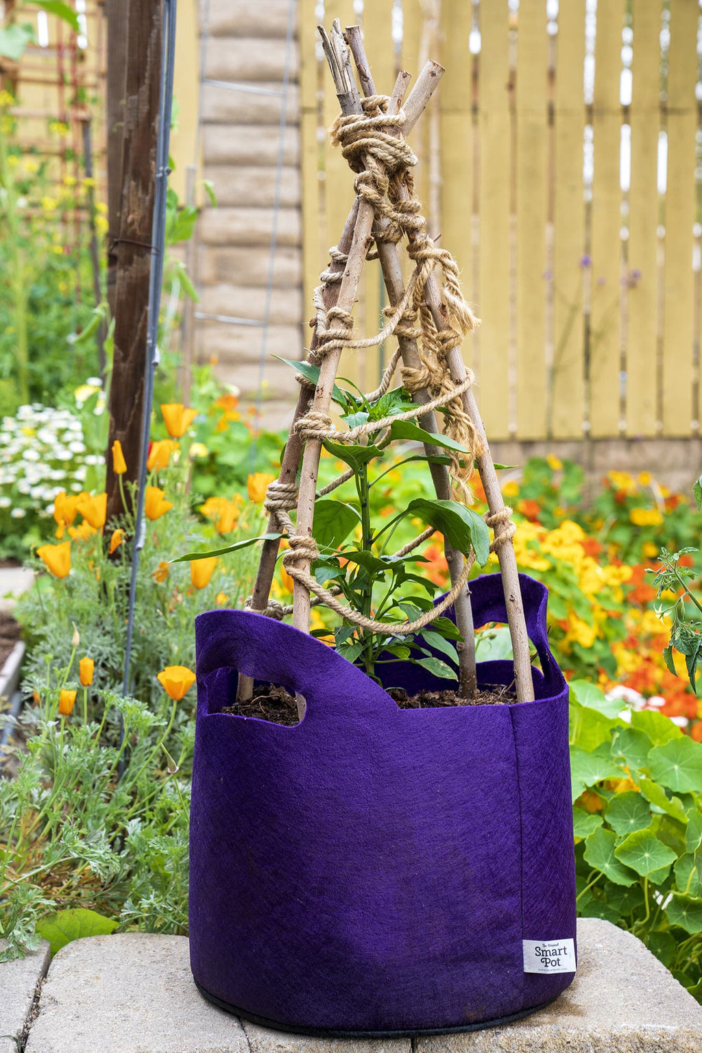 Smart Pot Fabric Grow Bag – Breathable Root-Pruning Planter
